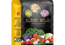 Sản phẩm phan trun que cao cap black gold xuat xu an do om 40 axit humic 5 — Công Ty Cổ Phần Xuất Nhập Khẩu Rồng Phương Đông — MST 0304935661
