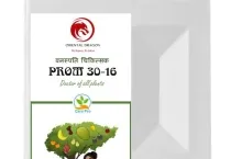 Sản phẩm prom 03016 bvtv 601 — Công Ty Cổ Phần Xuất Nhập Khẩu Rồng Phương Đông — MST 0304935661