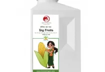 Sản phẩm sieu to trai big fruit — Công Ty Cổ Phần Xuất Nhập Khẩu Rồng Phương Đông — MST 0304935661