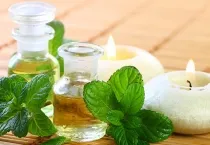 Sản phẩm tinh dau bac ha — Công Ty Cổ Phần Xuất Nhập Khẩu Rồng Phương Đông — MST 0304935661