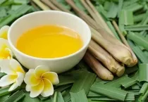 Sản phẩm tinh dau sa java 287 — Công Ty Cổ Phần Xuất Nhập Khẩu Rồng Phương Đông — MST 0304935661