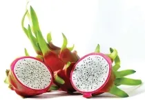 Sản phẩm trai thanh long — Công Ty Cổ Phần Xuất Nhập Khẩu Rồng Phương Đông — MST 0304935661