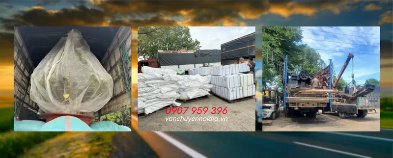 Sản phẩm 09 1 1741690042 — Công Ty TNHH Thương Mại - Dịch Vụ - Vận Tải Minh Phước — MST 0304954914
