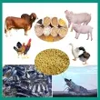Sản phẩm 110x110 1639983289 single_pcat4 thucanchannuoi1 — Chi Nhánh Hà Nội - Công Ty TNHH Vĩnh Nam Anh — MST 0304973949