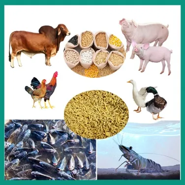 Sản phẩm 376x376 1639983289 single_pcat4 thucanchannuoi1 — Chi Nhánh Hà Nội - Công Ty TNHH Vĩnh Nam Anh — MST 0304973949