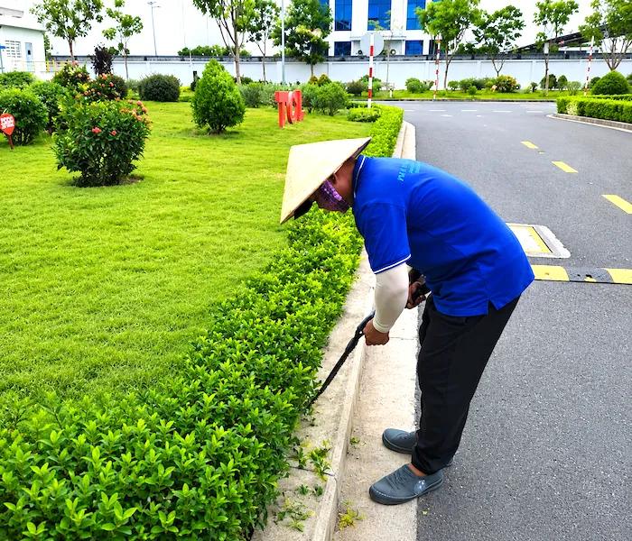 Sản phẩm PHT CSCQ — Công Ty Cổ Phần Phát Hưng Thịnh — MST 0305012602