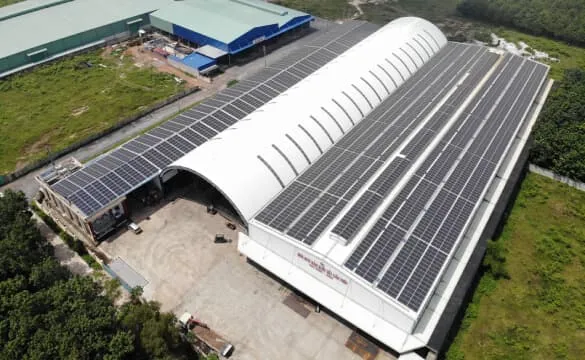 Sản phẩm 2022 nms2 (1) — Phụ Gia Thực Phẩm Trường Thịnh - Công Ty Cổ Phần Đầu Tư Xây Dựng Và Thương Mại
Trường Thịnh — MST 0305042967
