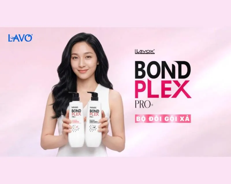 Sản phẩm lavox bondplex 1 — LAVO - Công Ty Cổ Phần LAVO — MST 0305044442