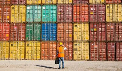 Sản phẩm focus common 2024081900 809934786 — Công Ty TNHH Sản Xuất Thương Mại Tân Hợp Phú — MST 0305048990