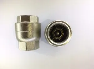 Sản phẩm CHECK VALVE 300x220 — Hoàng Thịnh Install - Công Ty TNHH Lắp Đặt Hoàng Thịnh — MST 0305058491