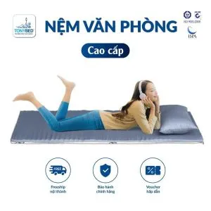 Sản phẩm nem van phong gap gon tonybed 300x300 — Công Ty TNHH Sản Xuất Trường Hưng — MST 0305064350