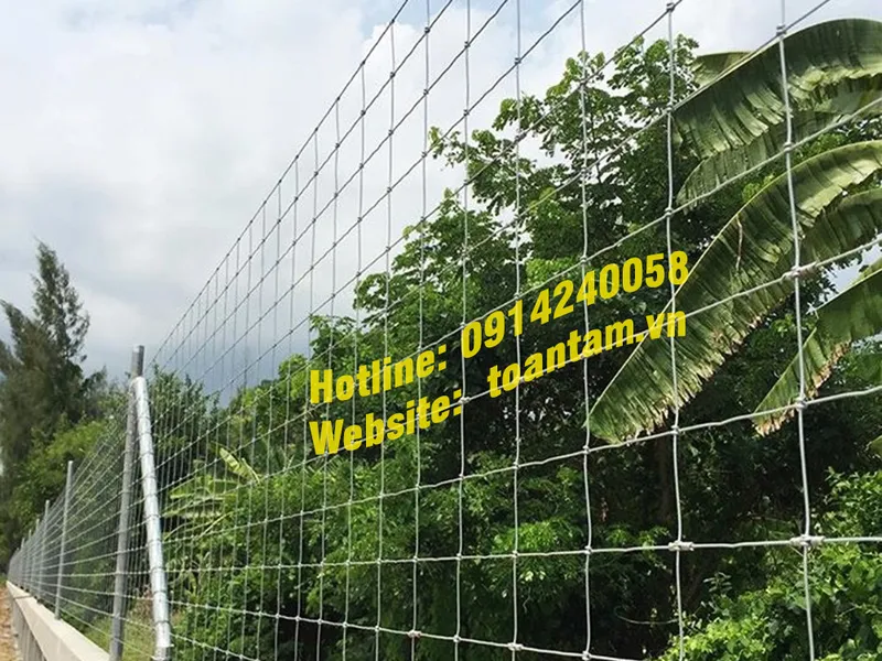 Sản phẩm hang rao gia re TT1 — Công Ty TNHH Thép Xây Dựng Và Lưới Hàn Toàn Tâm — MST 0305105046
