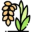 Sản phẩm rice 48x48 — Công Ty TNHH Vidan — MST 0305113216