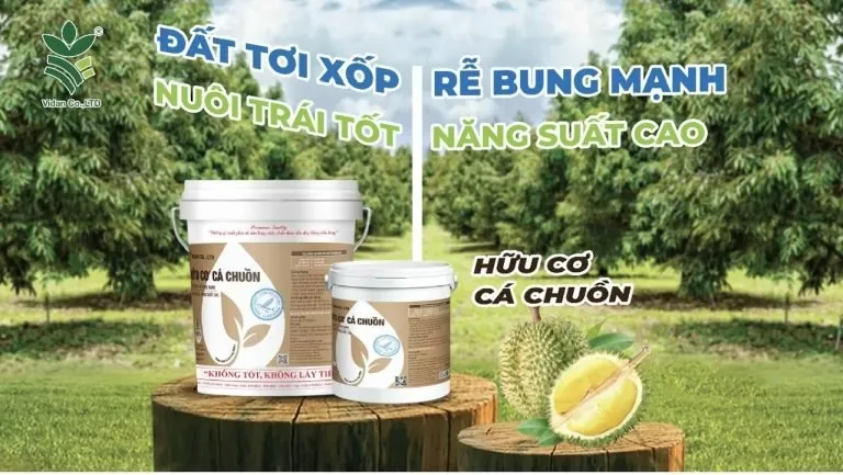 Sản phẩm z4906775983722_fc797046a79bdb10e0af06ac07eb12b8 768x433 — Công Ty TNHH Vidan — MST 0305113216