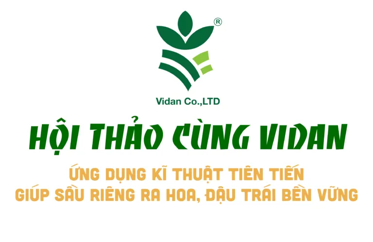 Sản phẩm Cover Titok 02 768x500 — Công Ty TNHH Vidan — MST 0305113216