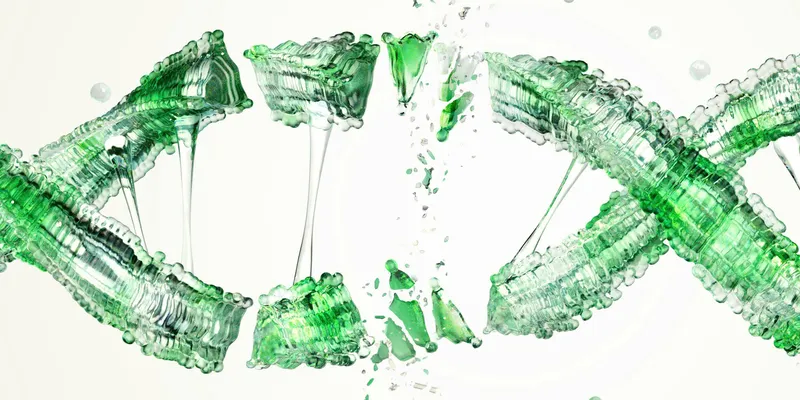 Sản phẩm 1778558142.nv — Công Ty TNHH Khoa Học Hợp Nhất — MST 0305116489