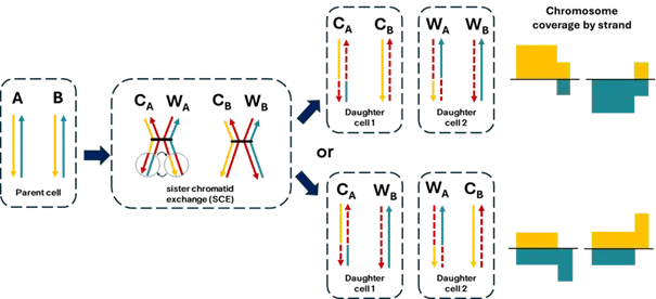 Sản phẩm 1779940373.nv — Công Ty TNHH Khoa Học Hợp Nhất — MST 0305116489