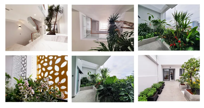 Sản phẩm Picture2 1024x544 — Công Ty CP Tư Vấn Kỹ Thuật Xây Dựng Kiến An — MST 0305118616