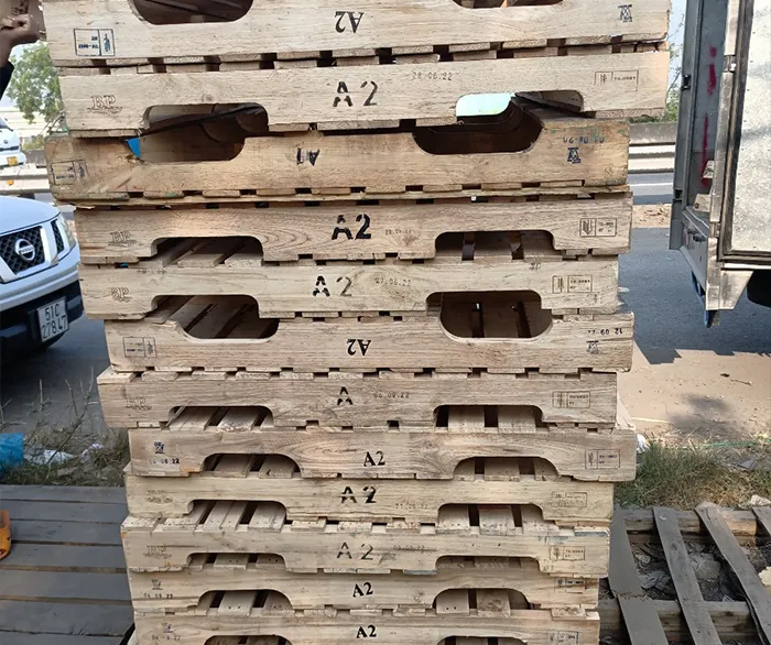 Sản phẩm pallet nhua go — Môi Trường Ngôi Sao Vàng - Công Ty TNHH Một Thành Viên Ngôi Sao Vàng — MST 0305171218