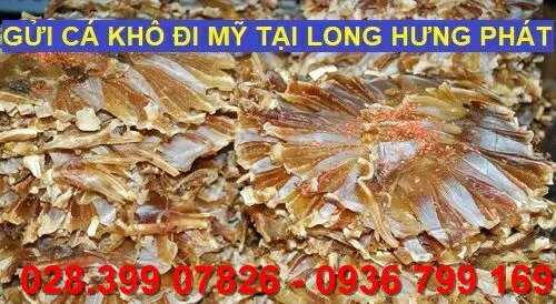 Sản phẩm tintuc_s716 — Công Ty TNHH Thương Mại - Dịch Vụ Long Hưng Phát — MST 0305208972