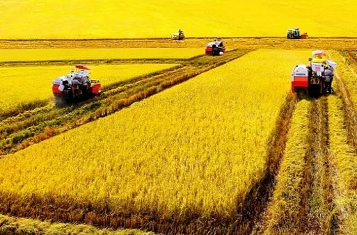 Sản phẩm dvdaymangluoi — Công Ty TNHH Một Thành Viên Phân Bón Phú Định — MST 0305243769