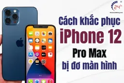 Sản phẩm iphone 12 pro max bi do man hinh   thumb_1725935911 — Công Ty TNHH MTV Đào Tạo Kỹ Thuật Và TM Hai Bốn Giờ — MST 0305245702