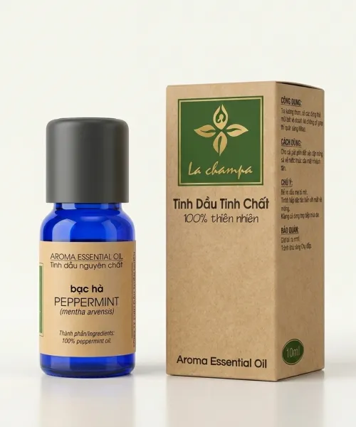 Sản phẩm 1bacha 1777881279.png — Công Ty TNHH Tinh Dầu Thiên Nhiên — MST 0305279388
