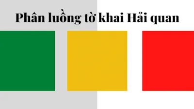 Sản phẩm to khai phan luong 1 51d crop 400 225 — DOLPHIN SEA AIR SERVICES CORPORATION - Công Ty Cổ Phần Dịch Vụ Hàng Hải Hàng
Không Con Cá Heo — MST 0305358801