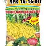 Sản phẩm NPK 16 16 8TE 50kg_nen cam copy 150x150 — Công Ty Cổ Phần Bao Bì Nhựa Sopha — MST 0305395345