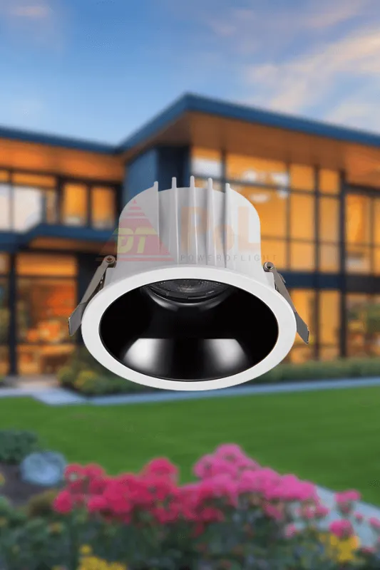 Sản phẩm 4 51 — Đèn Chiếu Sáng Đại Thắng - Công Ty TNHH Thiết Bị Điện Đại Thắng — MST 0305422849