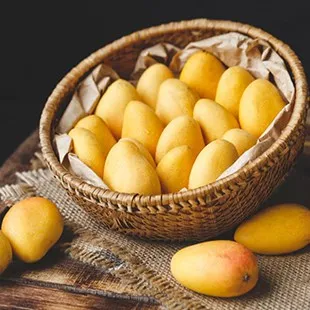 Sản phẩm thu hoach xoai — Công Ty Cổ Phần Công Nghệ Thực Phẩm Lương Gia — MST 0305444715