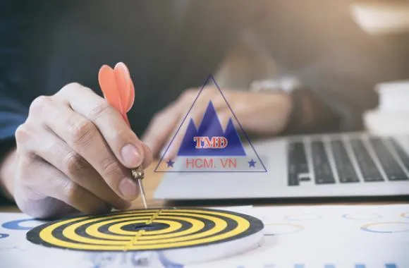 Sản phẩm vision 1729316301 — Bột CaCO3 Tâm Minh Đức - Công Ty TNHH Một Thành Viên Tâm Minh Đức — MST 0305457182