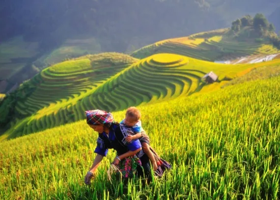 Sản phẩm Yen Bai Lim Mong Valley 570x408 — Công Ty TNHH Kiến Trúc Thương Mại Và Du Lịch én Việt — MST 0305468804