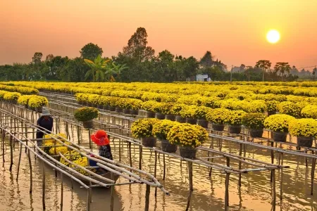 Sản phẩm dong thap 450x300 — Công Ty TNHH Kiến Trúc Thương Mại Và Du Lịch én Việt — MST 0305468804