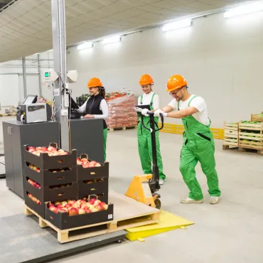 Sản phẩm 370_Icon_services_DISTRIBUTION_2 — ABA Cooltrans - Công Ty Cổ Phần Giải Pháp Thương Mại A BA — MST 0305472705