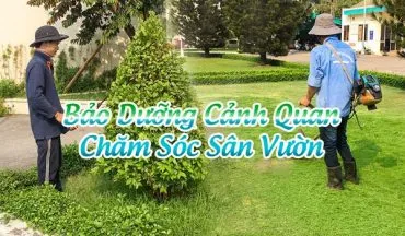 Sản phẩm bao duong cham soc san vuon 370x216 — Công Ty Cổ Phần Sài Gòn Hoa — MST 0305502861