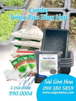 Sản phẩm ban combo trong rau tong hop 300x400 — Công Ty Cổ Phần Sài Gòn Hoa — MST 0305502861