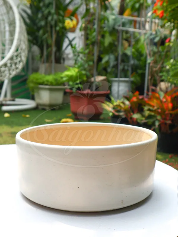 Sản phẩm chau ang day bang vua — Công Ty Cổ Phần Sài Gòn Hoa — MST 0305502861