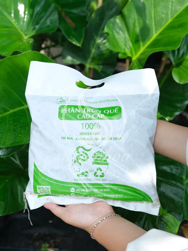 Sản phẩm phan trun que 1 kg — Công Ty Cổ Phần Sài Gòn Hoa — MST 0305502861