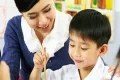 Sản phẩm 05268452_120x80 — Công Ty TNHH Sản Xuất Thương Mại Và Dịch Vụ Song Lan — MST 0305516173