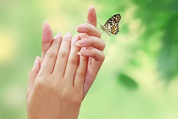 Sản phẩm baodongtt — Công Ty TNHH Thương Mại Môi Trường Phú Cường — MST 0305550505