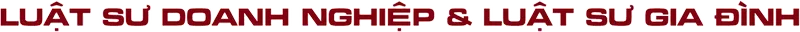 Sản phẩm LSDN 12 — Công Ty Luật TNHH Bình Phương - BP Law — MST 0305576045