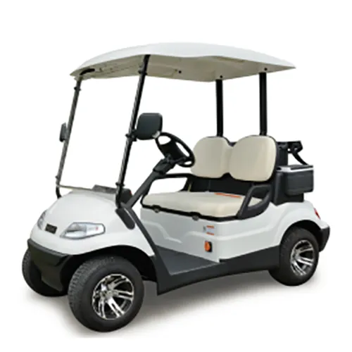Sản phẩm 2 Seater Electric Golf Car — Công Ty TNHH Công Nghiệp Phúc Thành — MST 0305601044
