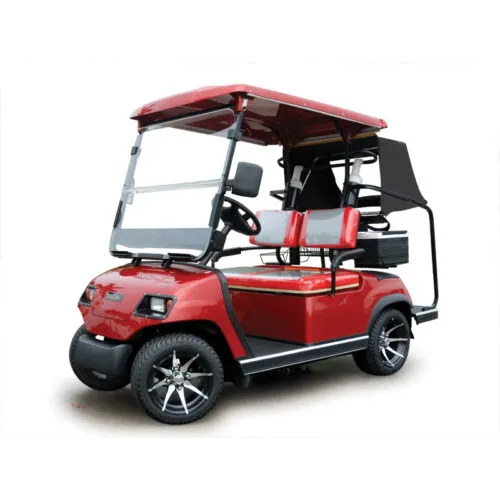 Sản phẩm 2 Seater Electric Sightseeing Car 500x500 — Công Ty TNHH Công Nghiệp Phúc Thành — MST 0305601044