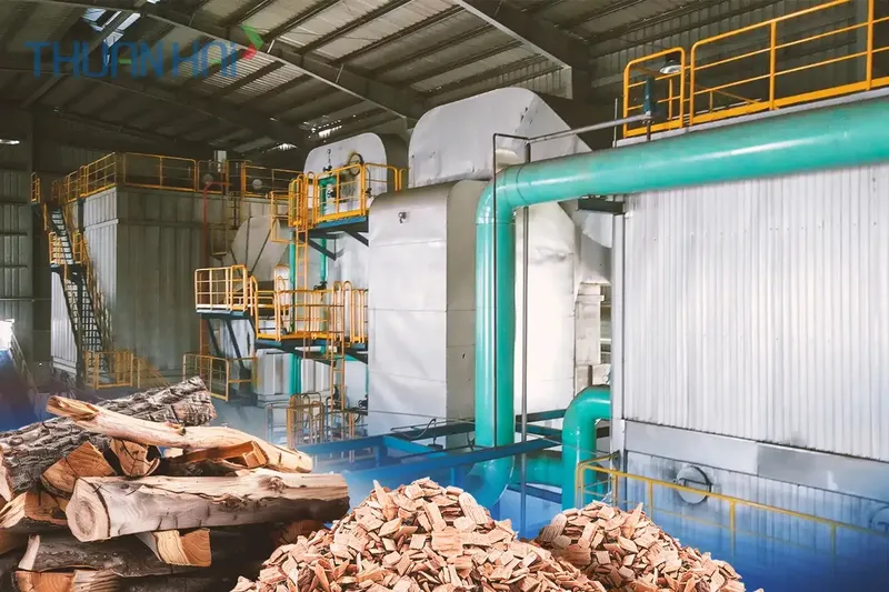 Sản phẩm lo hoi dot cui — Công Ty CP Thuận Hải — MST 0305601319