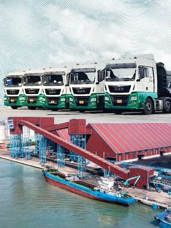 Sản phẩm giai phap logistics cua thuan hai — Công Ty CP Thuận Hải — MST 0305601319