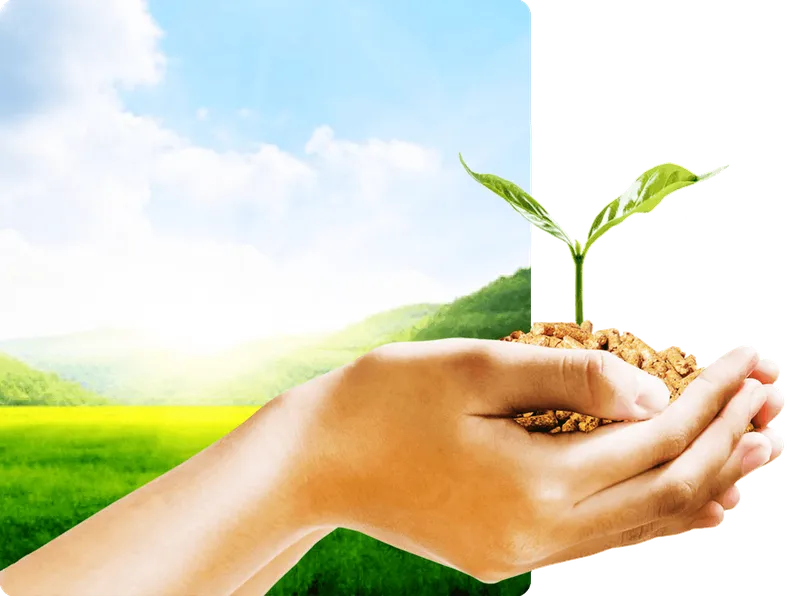 Sản phẩm pic — Công Ty CP Thuận Hải — MST 0305601319