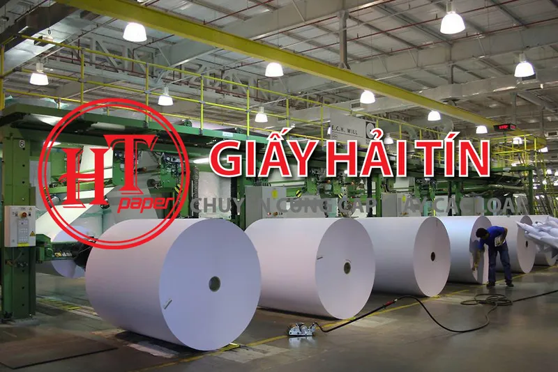 Sản phẩm giay fort hai tin — Giấy Hải Tín - Công TY TNHH Hải Tín — MST 0305605708