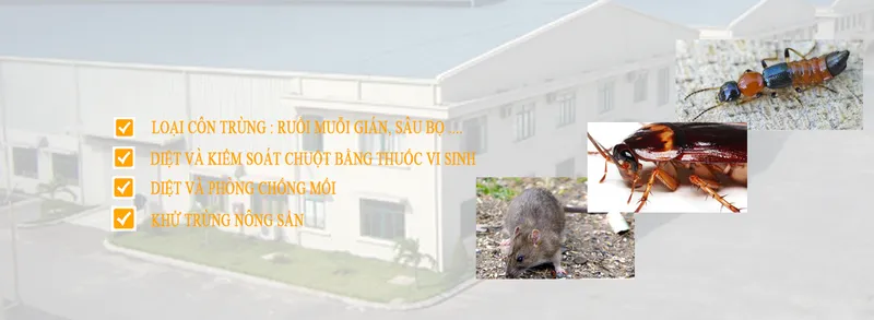 Sản phẩm 588925974071225_1366x500 — Công Ty TNHH Trừ Chuột Và Côn Trùng Miền Nam — MST 0305624877
