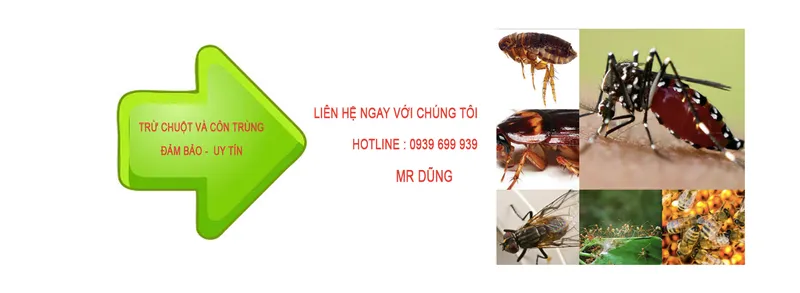 Sản phẩm 630662410165451_1366x500 — Công Ty TNHH Trừ Chuột Và Côn Trùng Miền Nam — MST 0305624877